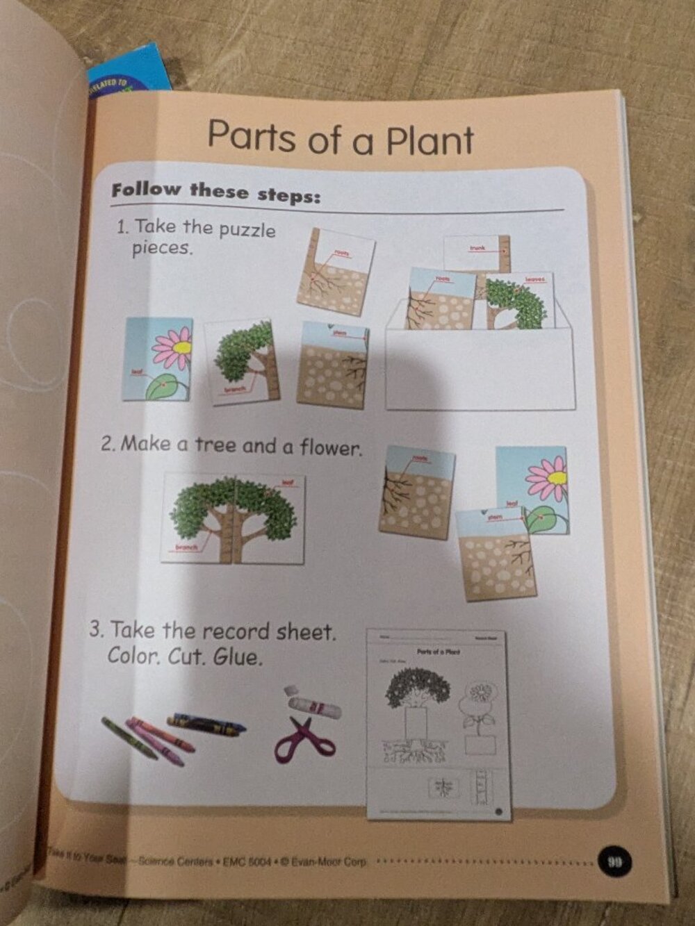 Pre-K Science Learning Activity Books - Picture 3 of 10